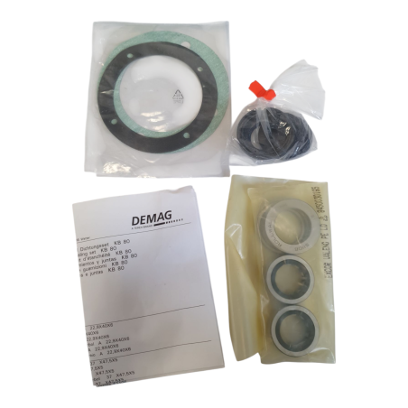 DEMAG 5909933 Kit roulement et d'étanchéité