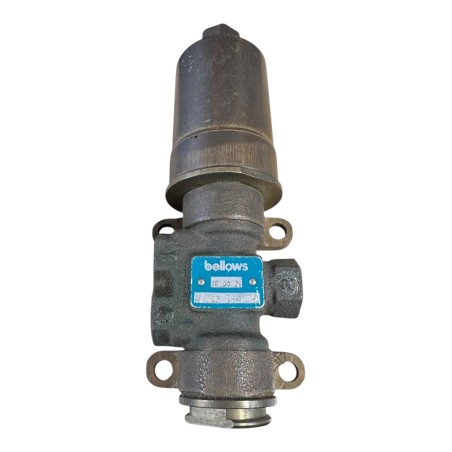SCHRADER BELLOWS M02621885 VANNE