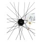 DT SWISS XM 1700 SPLINE 29 30MM CL12/148MM SHIMANO ROUE ARRIERE VELO