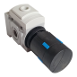 FESTO MS4-LRB-1/4-D6-A8-AS Manodétendeur 529477