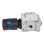FESTO MS4-LRB-1/4-D6-A8-AS Manodétendeur 529477