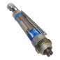 FESTO DGLL-40-100-P-A Vérin pneumatique