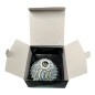 CAMPAGNOLO VELOCE UD 10S 12-25CASSETTE
