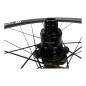 DT SWISS XR 1700 SPLINE 29 25MM CL12/148MM SRAM ROUE ARRIERE VELO