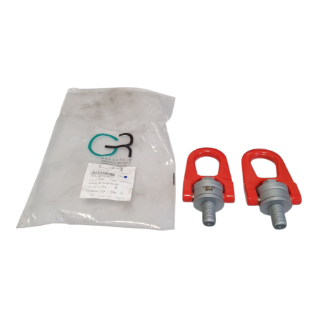 RABOURDIN 255-DSR-M20 Lot de 2 Anneaux de levage double
