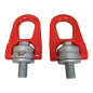 RABOURDIN 255-DSR-M20 Lot de 2 Anneaux de levage double