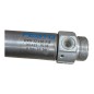FESTO DSW-32-100-P-B / 161425 CYLINDRE ROND