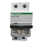 SCHNEIDER ELECTRIC A9F75220 Disjoncteur Acti9 iC60N 2P 20A