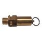 MELAG ME20944 SAFETY-VALVE OF EUROKLAV/ VACUKLAV/ MELAQUICK 12+/12+P