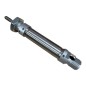 FESTO  DSNU-16-25-PPV-A / 33973 CYLINDRE PNEUMATIQUE