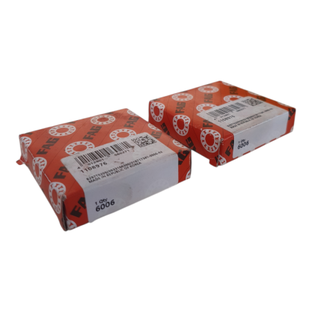 Lot de 2 FAG 6006 Roulement à Billes