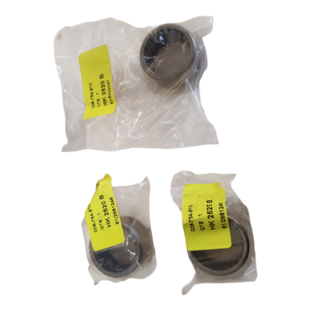 Lot de 3 INA HK 2520 B Roulement