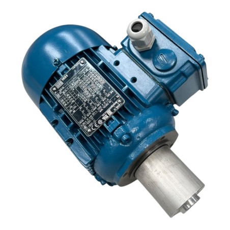 WEG W21 10670064 Moteur électrique triphasé 0.12kW 230/460V 1360/1595RPM