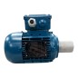 WEG W21 10670064 Moteur électrique triphasé 0.12kW 230/460V 1360/1595RPM