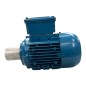 WEG W21 10670064 Moteur électrique triphasé 0.12kW 230/460V 1360/1595RPM