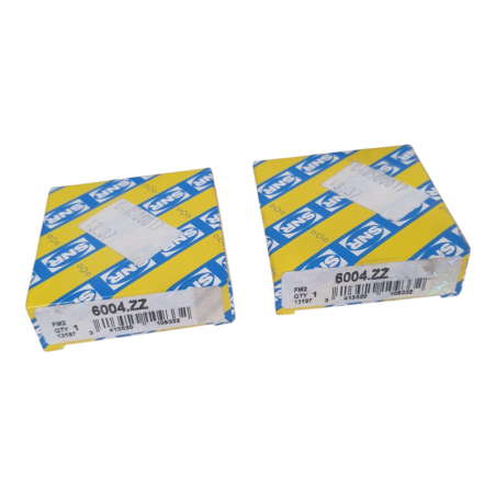 Lot de 2 SNR 6004.ZZ Roulement