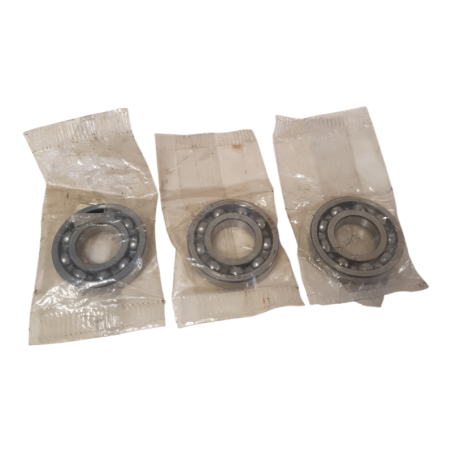 Lot de 3 SNR 16004 Roulement