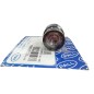 PALL HC0293D004 Indicateur visuel de colmatage