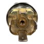 ENDRESS+HAUSER LIQUIPHANT T FTL20-0020 Détecteur de niveau compact
