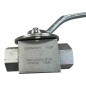 MHA ZENTGRAF 17253 BKH-DN13-G1/2-112A Robinet à boisseau sphérique PN500
