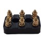 F.I.A.M.E. 50x32 Terminal Blocks F.I.A.M.E. 50x32 Terminal Blocks
