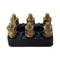 F.I.A.M.E. 40x25 Terminal Blocks