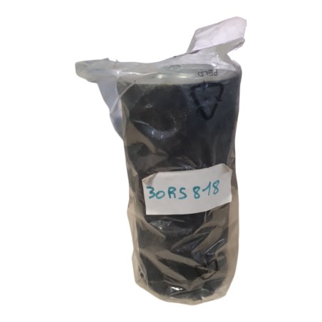 30RS818 Filtre