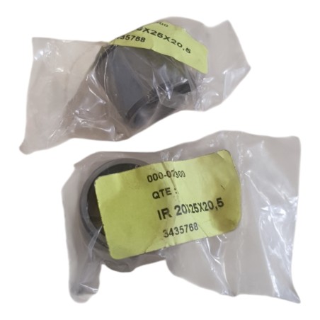 Lot de 2 INA IR 20X25X20,5 Roulement