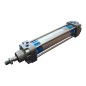 FESTO DNG-32-125-PPV-A Cylindre pneumatique 36326 FESTO DNG-32-125-PPV-A Cylindre pneumatique 36326