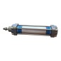 FESTO DNG-32-125-PPV-A Cylindre pneumatique 36326 FESTO DNG-32-125-PPV-A Cylindre pneumatique 36326