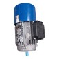 MGM MOTORI ELETTRICI BM 63B4 Moteur triphasé S1 50Hz 0.18kW 60Hz 0.22kW