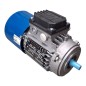 MGM MOTORI ELETTRICI BM 63B4 Moteur triphasé S1 50Hz 0.18kW 60Hz 0.22kW