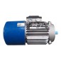 MGM MOTORI ELETTRICI BM 63B4 Moteur triphasé S1 50Hz 0.18kW 60Hz 0.22kW
