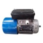MGM MOTORI ELETTRICI BM 63B4 Moteur triphasé S1 50Hz 0.18kW 60Hz 0.22kW