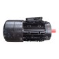 WEISS 5.5AZHK 90V-4T B14P140 Moteur 507-904141103 50Hz 2.2kW 60Hz 2.5kW WEISS 5.5AZHK 90V-4T B14P140 Moteur 507-904141103 50Hz 2.2kW 60Hz 2.5kW