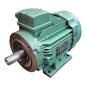 LEROYSOMER LS100LT Moteur triphasé 50Hz 3.0kW 60Hz 3.6kW