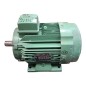 LEROYSOMER LS100LT Moteur triphasé 50Hz 3.0kW 60Hz 3.6kW