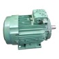 LEROYSOMER LS100LT Moteur triphasé 50Hz 3.0kW 60Hz 3.6kW