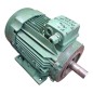 LEROYSOMER LS100LT Moteur triphasé 50Hz 3.0kW 60Hz 3.6kW