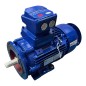 SIEMENS 1MB1553-1BB29-0WB4 SIMOTICS XP Moteur fonte antidéflagrant IE3 4kW SIEMENS 1MB1553-1BB29-0WB4 SIMOTICS XP Moteur fonte antidéflagrant IE3 4kW