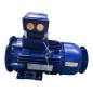 SIEMENS 1MB1553-1BB29-0WB4 SIMOTICS XP Moteur fonte antidéflagrant IE3 4kW SIEMENS 1MB1553-1BB29-0WB4 SIMOTICS XP Moteur fonte antidéflagrant IE3 4kW