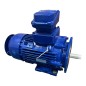 SIEMENS 1MB1553-1BB29-0WB4 SIMOTICS XP Moteur fonte antidéflagrant IE3 4kW SIEMENS 1MB1553-1BB29-0WB4 SIMOTICS XP Moteur fonte antidéflagrant IE3 4kW