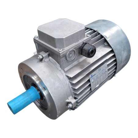 MOTOVARIO T100LB4 Moteur asynchrone triphasé 3.0kW