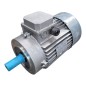 MOTOVARIO T100LB4 Moteur asynchrone triphasé 3.0kW MOTOVARIO T100LB4 Moteur asynchrone triphasé 3.0kW