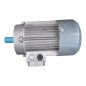 MOTOVARIO T100LB4 Moteur asynchrone triphasé 3.0kW MOTOVARIO T100LB4 Moteur asynchrone triphasé 3.0kW