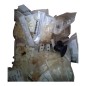 LOT Embouts et raccords en plastique dont marque BOTTELPACK LOT Embouts et raccords en plastique dont marque BOTTELPACK