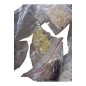 LOT Embouts et raccords en plastique dont marque BOTTELPACK LOT Embouts et raccords en plastique dont marque BOTTELPACK