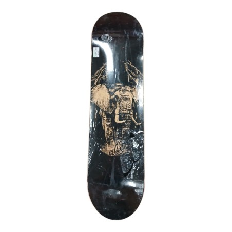 ABS SKATE T.8 C. ELEPHANT