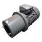 SIEMENS 1AV3130A 1LE10231C A022FB4 Moteur électrique asynchrone triphasé