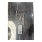 RASSVET SKATE FEV DECK T.8,375 C.ELINA PLANCHE DE SKATEBOARD